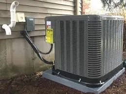 Slide of Objective-Beagle Team