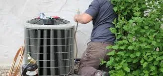 Slide of Objective-Beagle Team