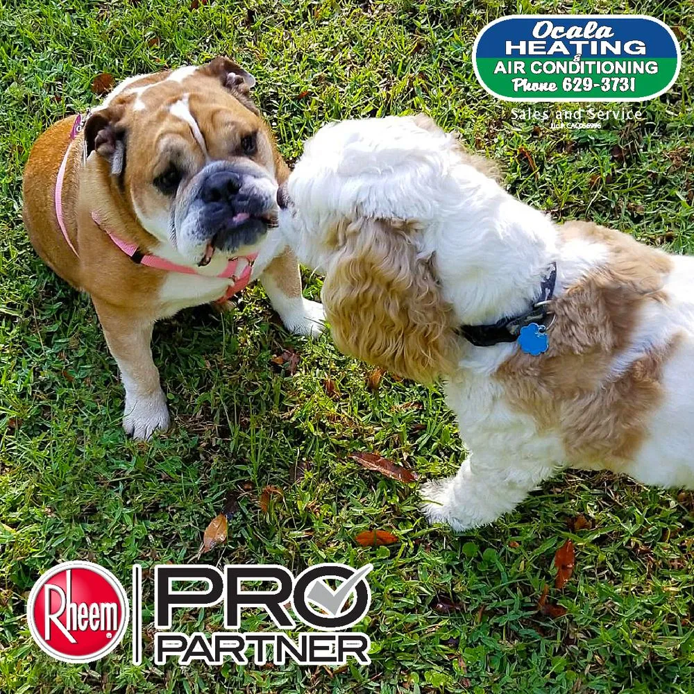 Slide of Ocala Heating & Air Conditioning