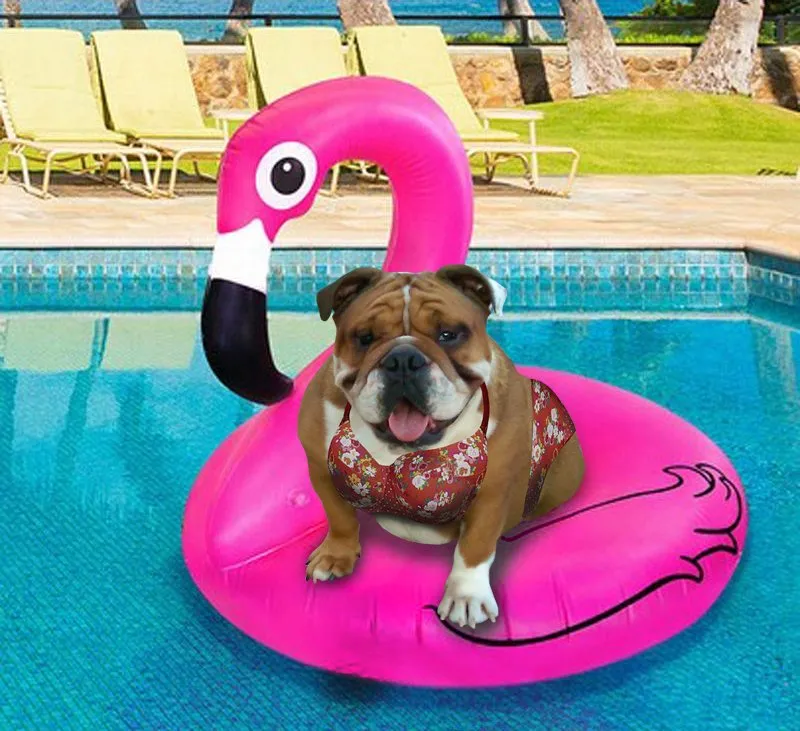 Slide of Ocala Heating & Air Conditioning