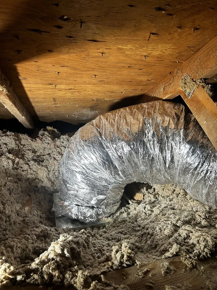 Slide of OCD Mechanical