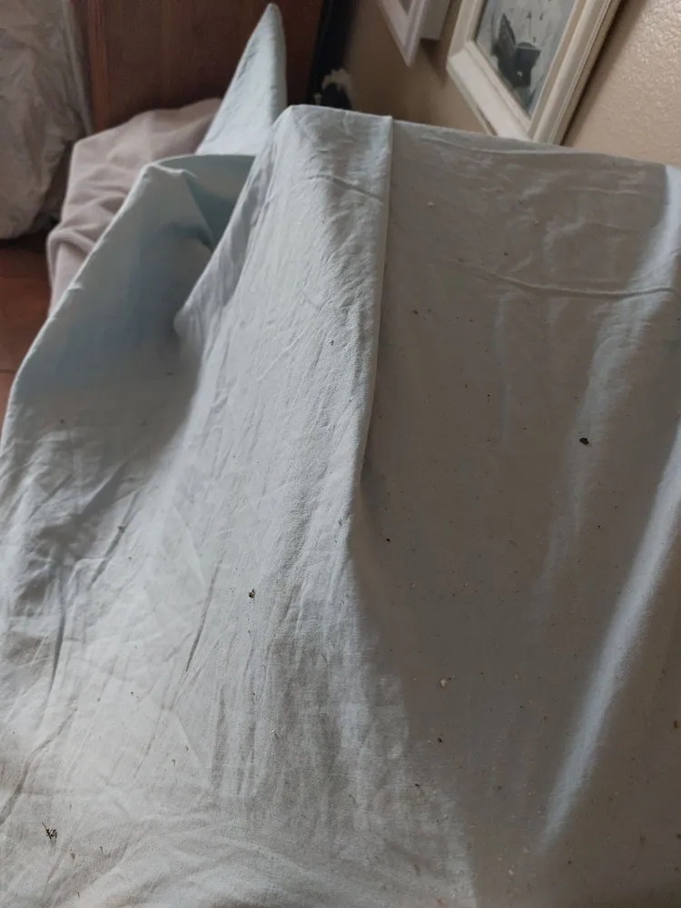 Slide of Odin Energy