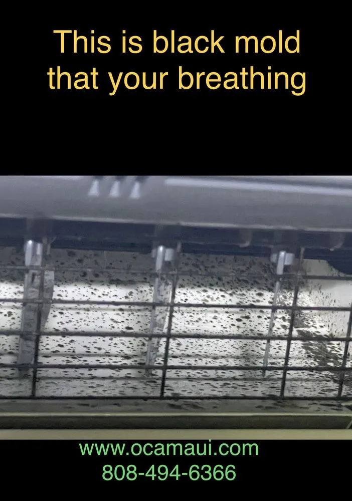 Slide of Ohana Clean Air