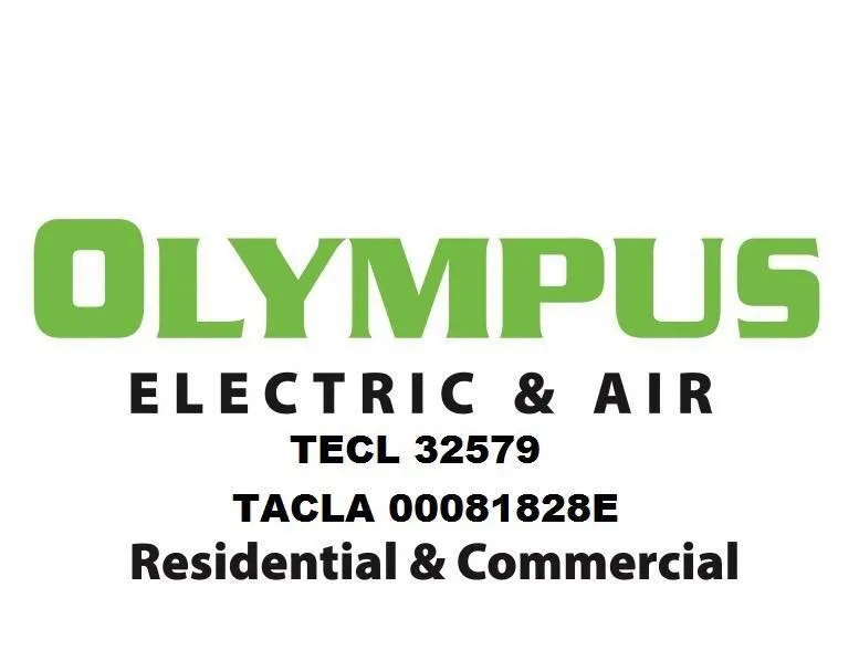 Slide of Olympus Electric And Air