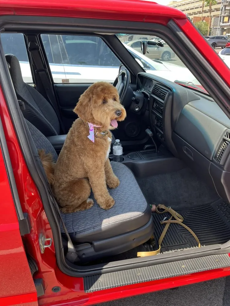 Slide of On Site Home Watch