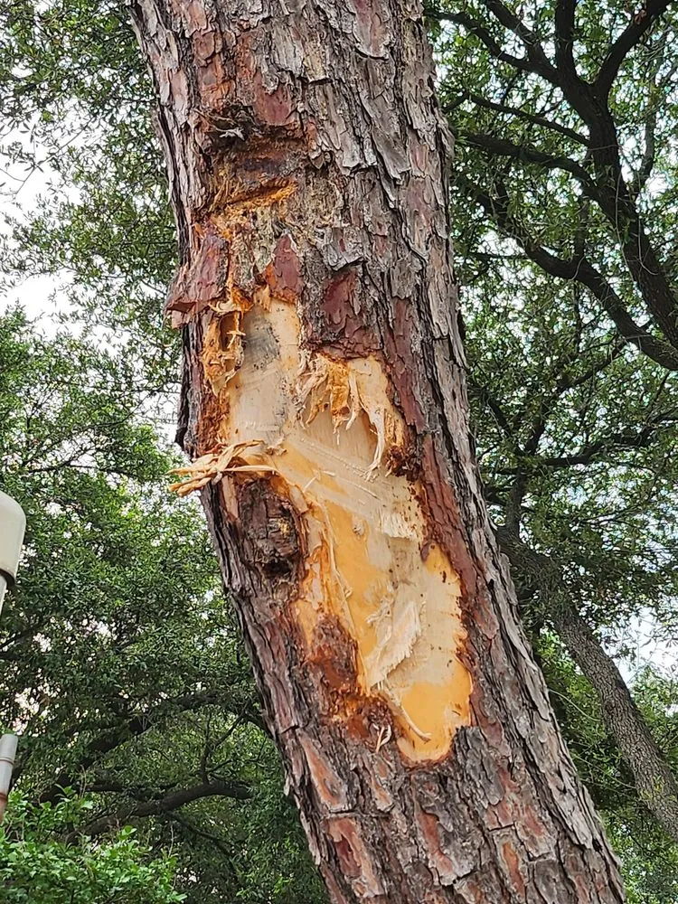 Slide of On Time Experts