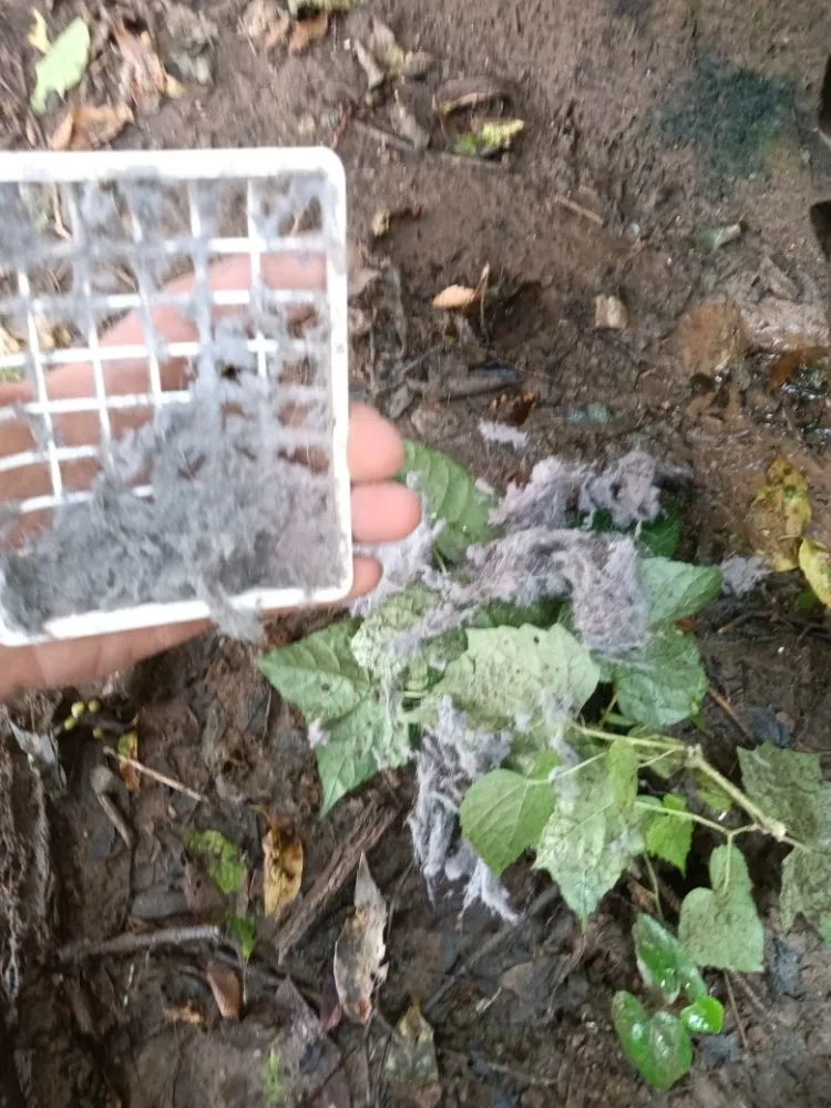 Slide of On Time Heating and Cooling