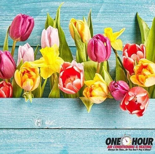 Slide of One Hour Heating & Air Conditioning