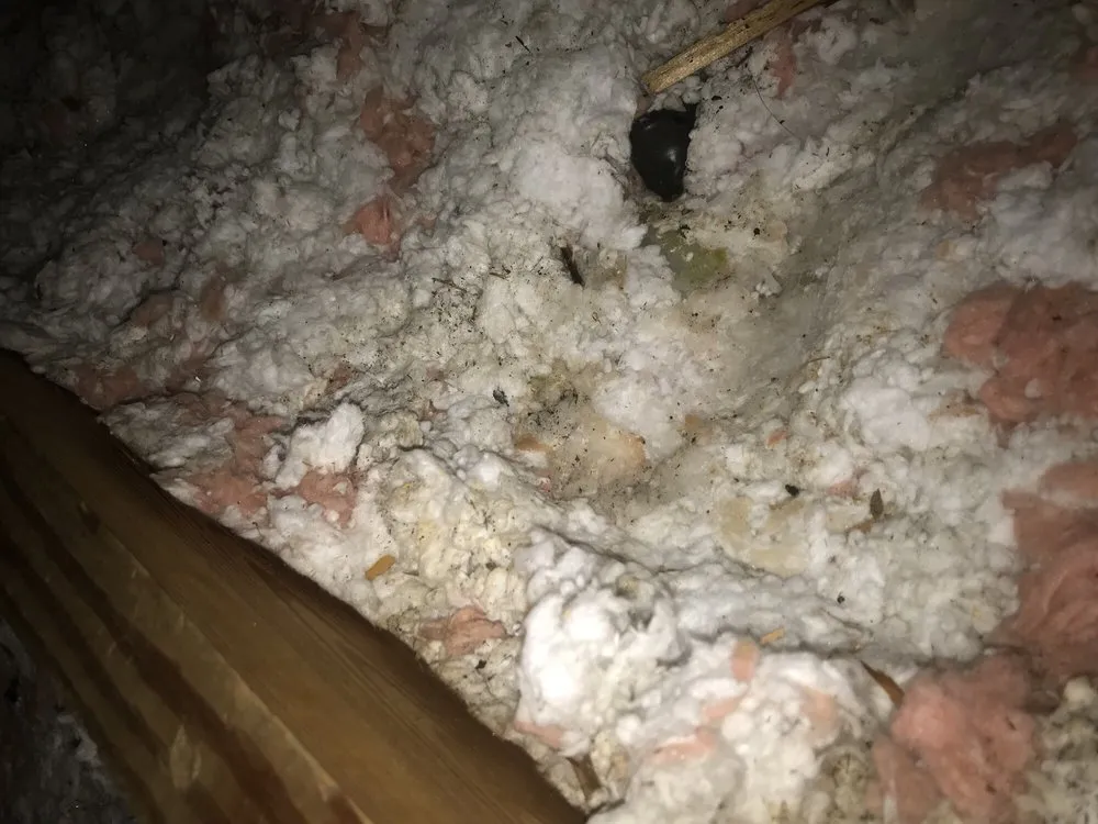 Slide of One Hour Heating & Air Conditioning of Hampton Roads