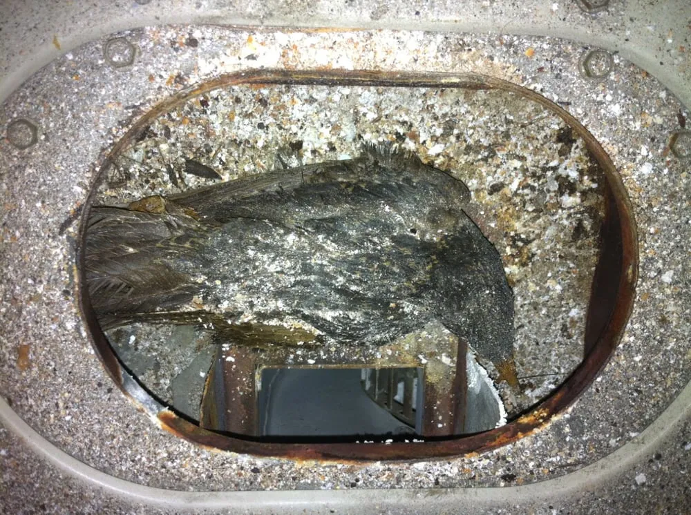 Slide of One Hour Heating & Air Conditioning