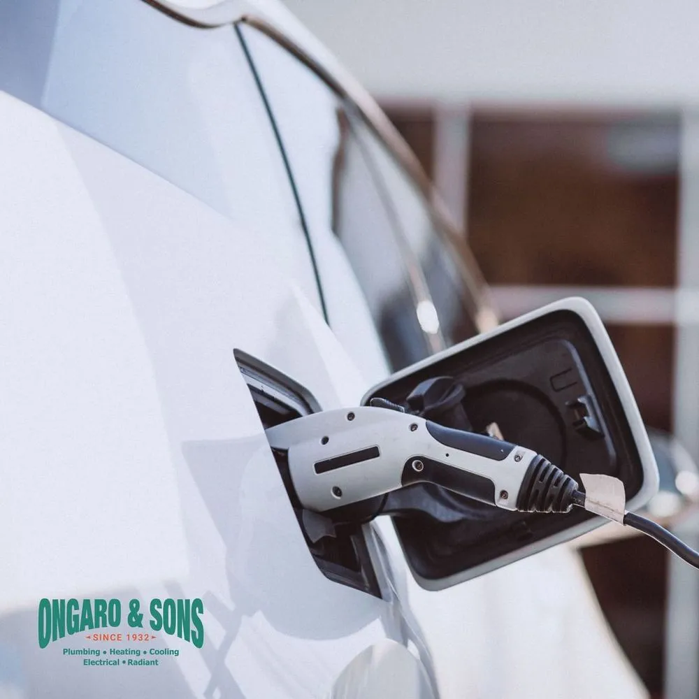 Slide of Ongaro & Sons