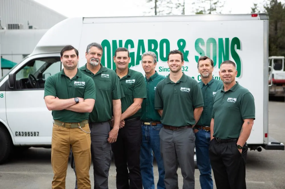 Slide of Ongaro & Sons