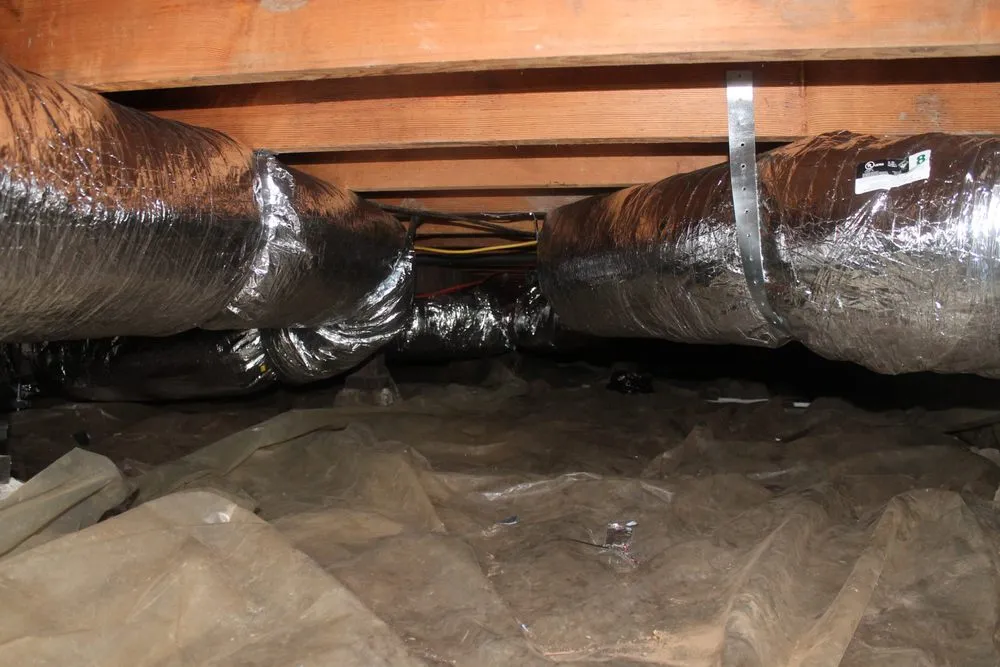 Slide of Ongaro & Sons