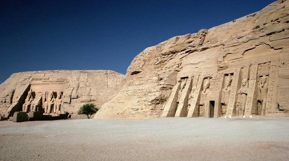 Slide of Ongaro & Sons