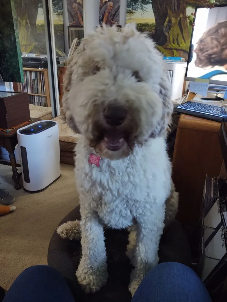 Slide of Ongaro & Sons