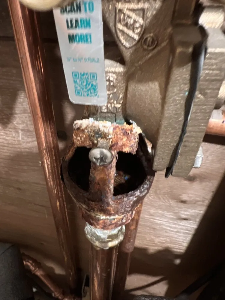 Slide of Ongaro & Sons