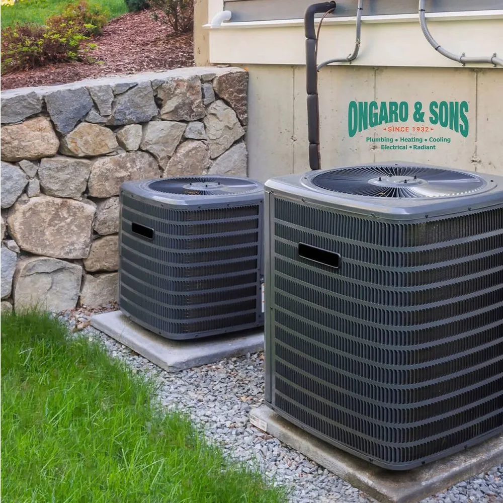 Slide of Ongaro & Sons