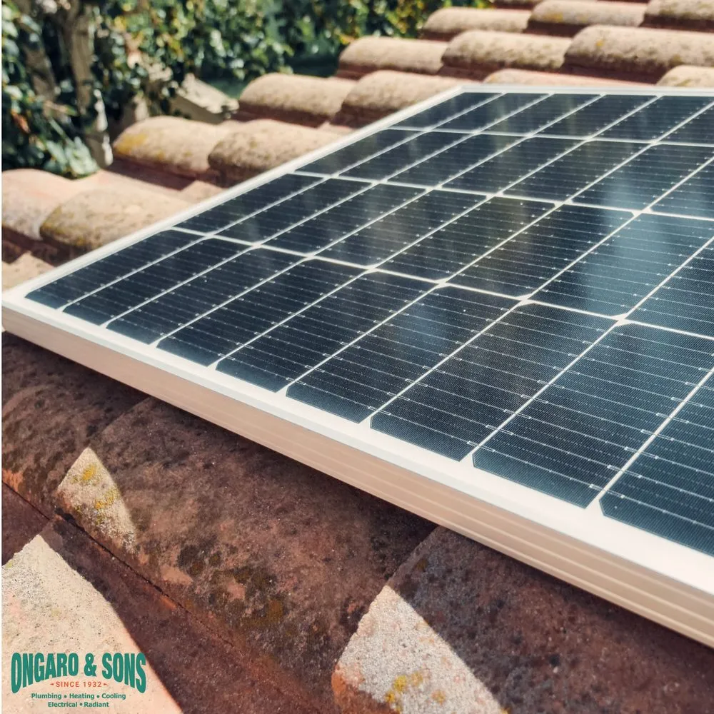 Slide of Ongaro & Sons