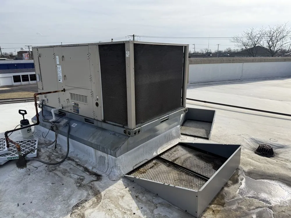 Slide of Only Foster Home Services