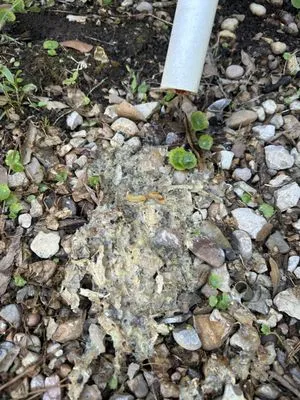 Optimal Air Solutions Logo