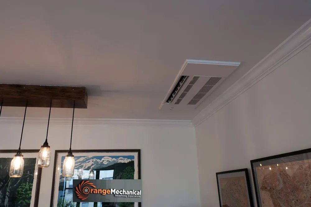 Slide of Orange Mechanical