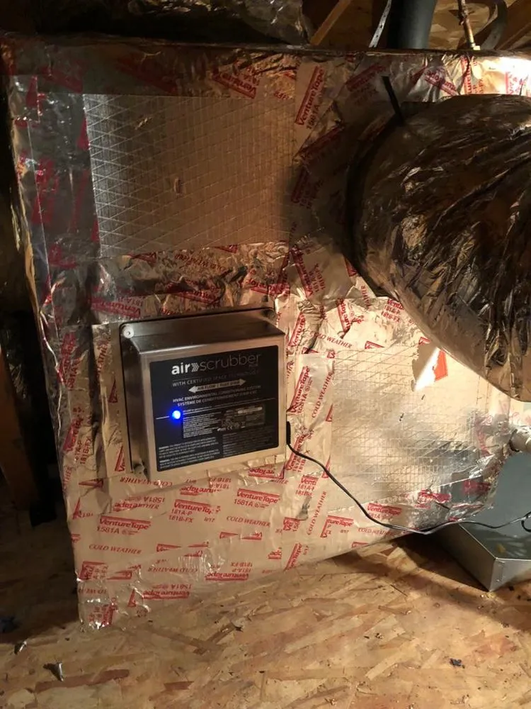 Slide of Organic Air