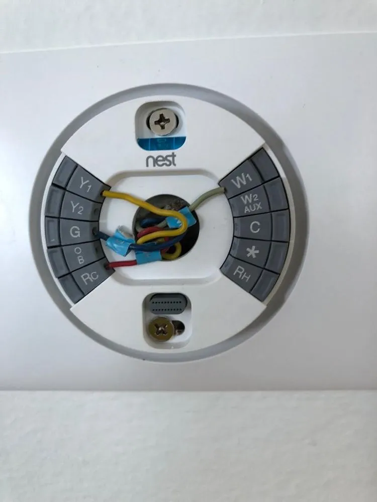 Slide of Organic Air