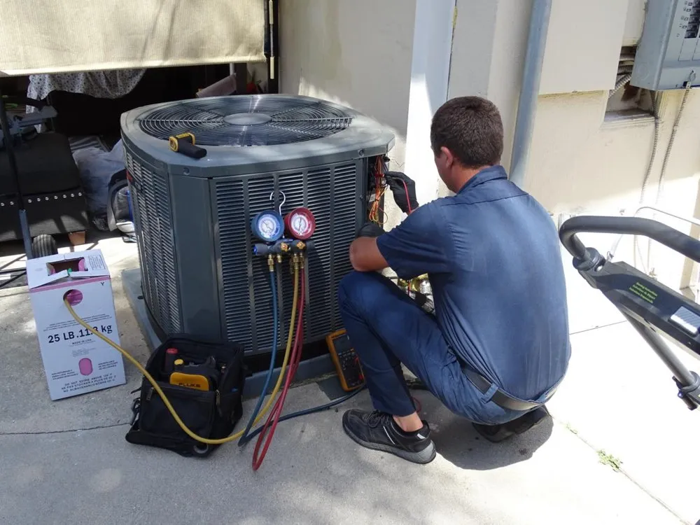 Slide of Organic Air