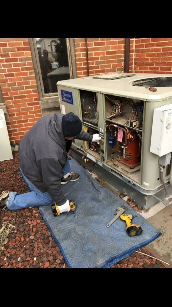 Slide of Owl Heating and Cooling