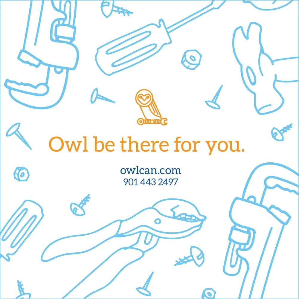 Slide of Owl Services
