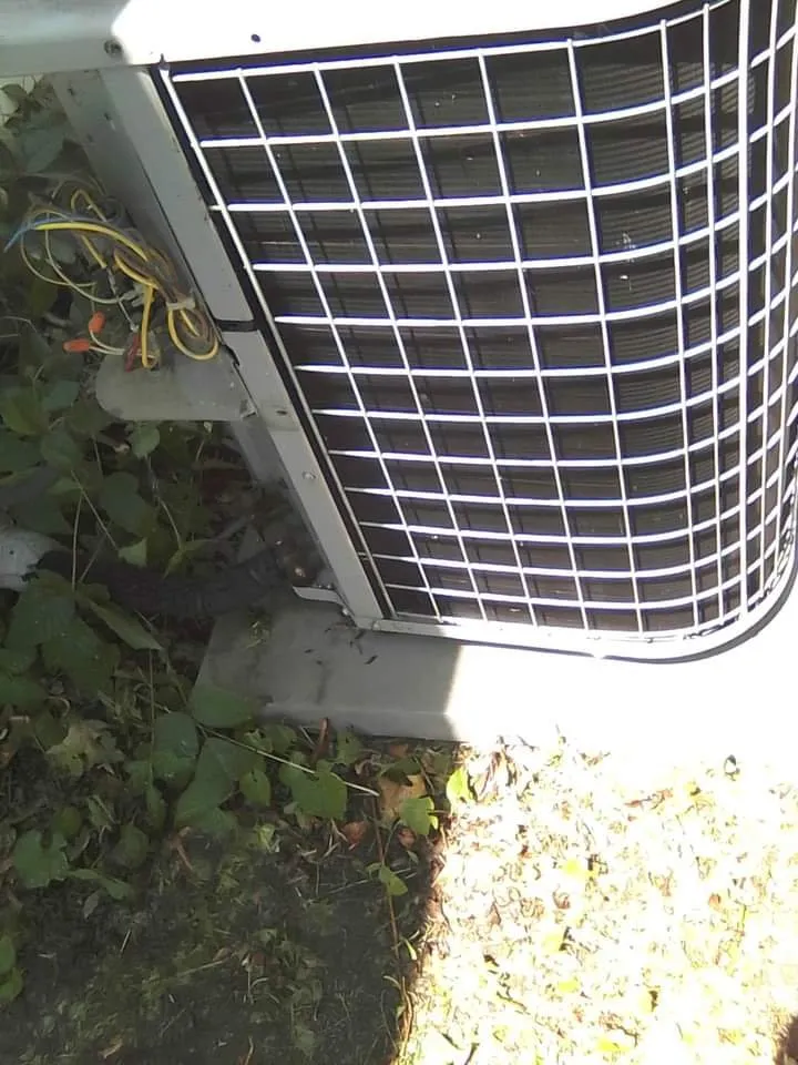 Slide of Own Your Own Business