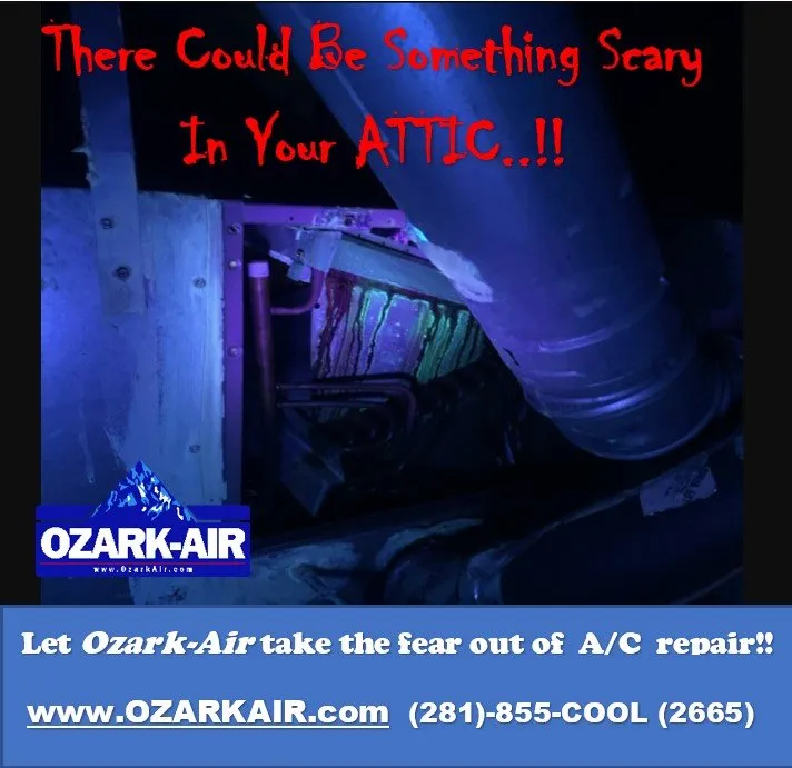 Slide of Ozark Air
