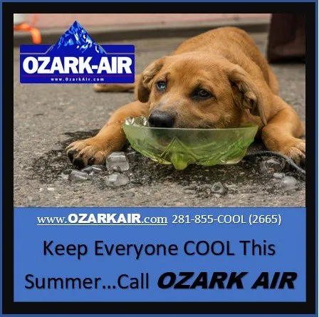 Slide of Ozark Air