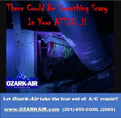 Ozark Air Logo