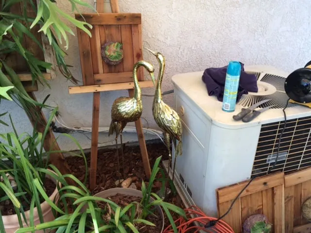 Slide of Pacific Cal Service