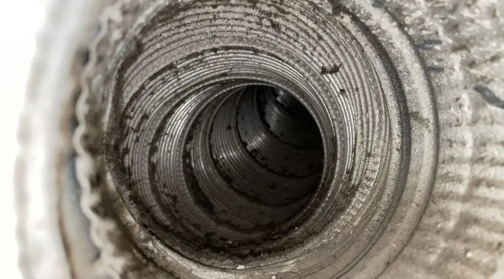 Slide of Pacific Coast Comfort