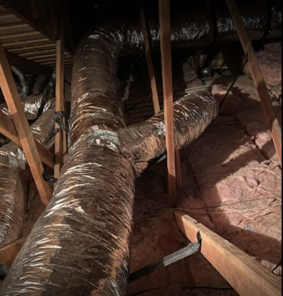 Slide of Pacific Coast Comfort