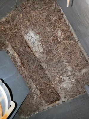 Pacific Hvac Experts