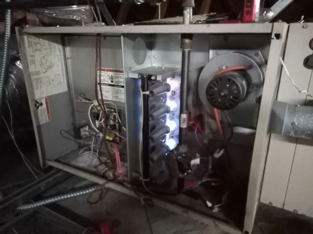 Slide of Pacific Pro Services