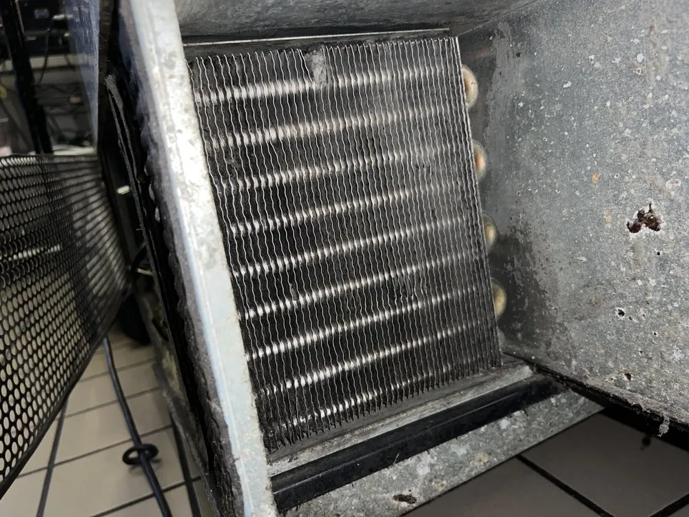 Slide of Paco's Service