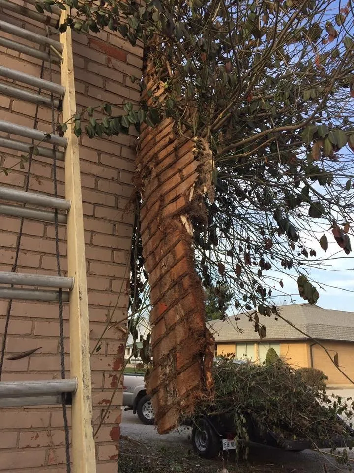 Slide of Page's Heating & Cooling