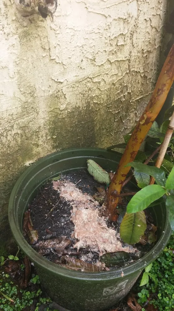 Slide of Palm Beach A/C Inc.