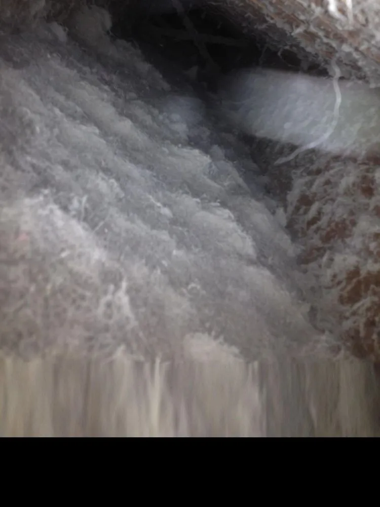 Slide of Palmer Air Duct Cleaning & Dryer Vent Cleaning Services