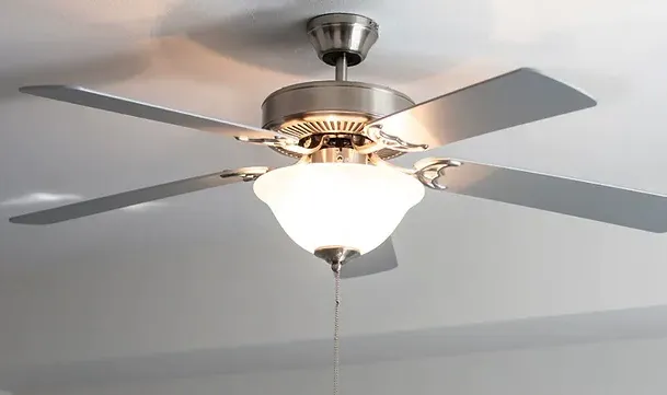 Slide of Palmer Services