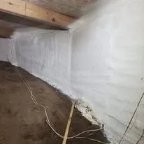 Slide of Palmetto ProFoam