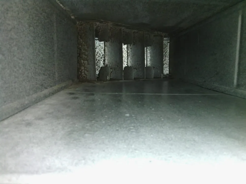 Slide of Panamerican Duct Cleaning