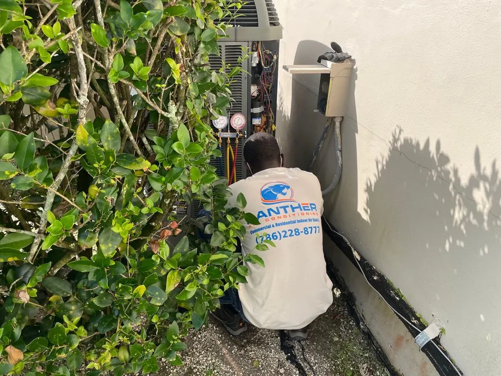 Slide of Panther A/C & Electric