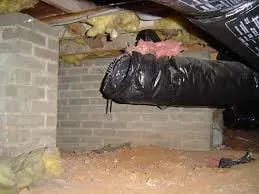 Slide of Papito Air Conditioning