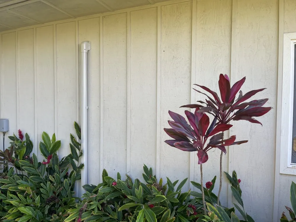 Slide of Paradise AC