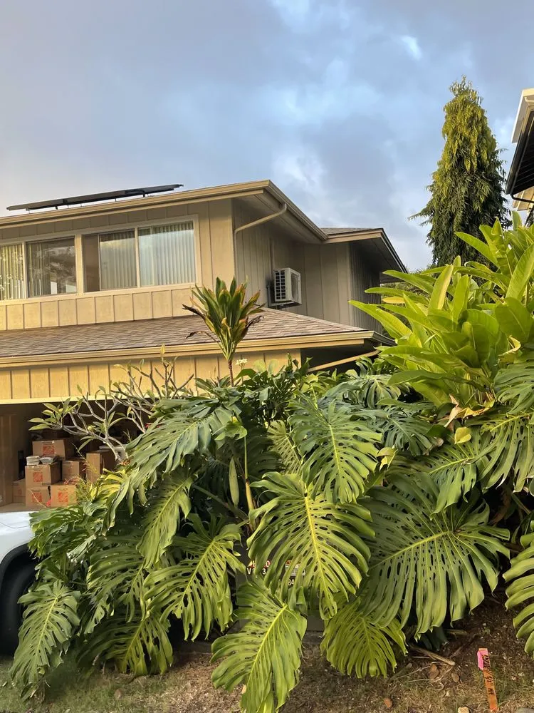 Slide of Paradise AC